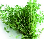 leftovers thyme thumb2
